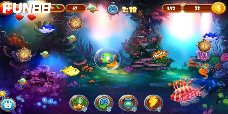 Đa dạng các loài cá cho bạn tự do ngắm bắn 