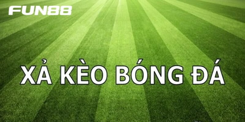 Chìa khóa vàng để tránh bẫy tiềm ẩn khi quá lạm dụng cắt lỗ